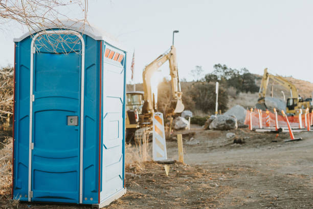 Best Local porta potty services  in Festus, MO